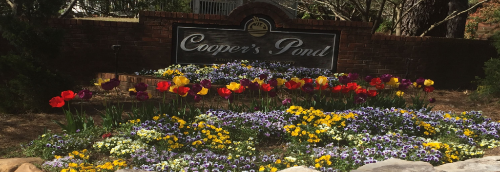 Architectural Design Standards Coopers Pond HOA